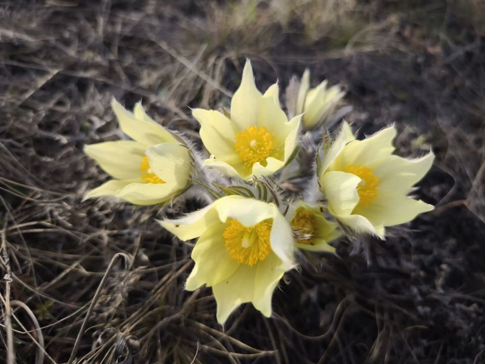 ����� � �����. ������� ��� � �������� ����� �� ����� ������� ������� �����������