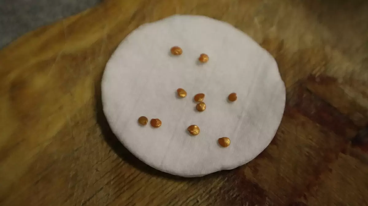 Как вырастить крепкие баклажаны: секреты успешной рассады