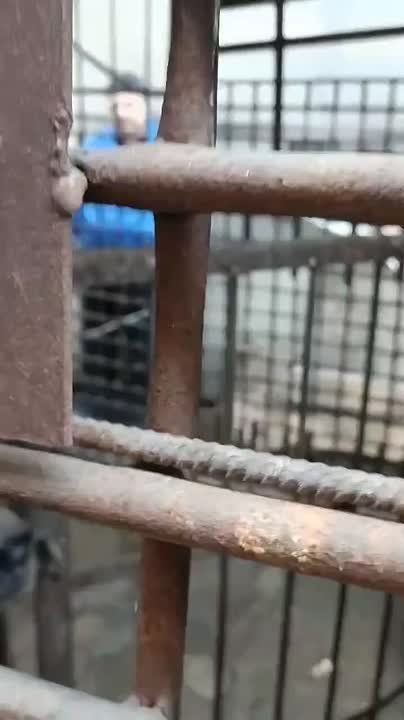 ������ ��������: ������, ������� �� ������� ����������� ������� ������� ������