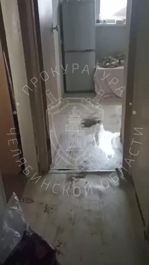 24-������ ���� ��������� ���� ����-�������� ���� � �������� ��� ���, � ������������� � �������