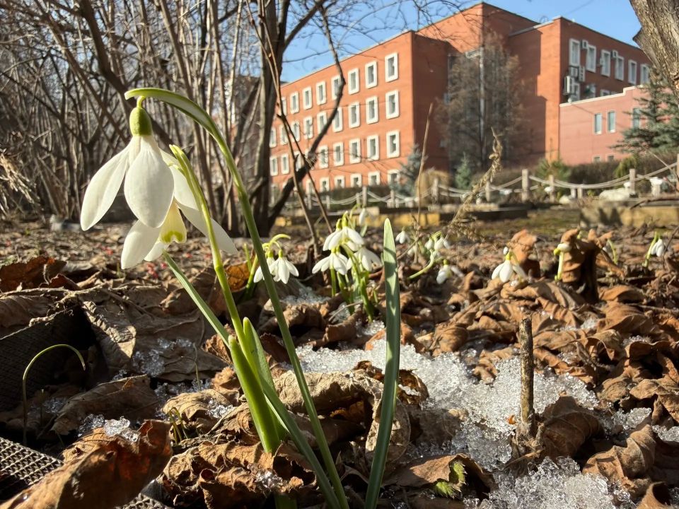 � ��� ���� ���������� ������������ ���� ������� � ������ ������