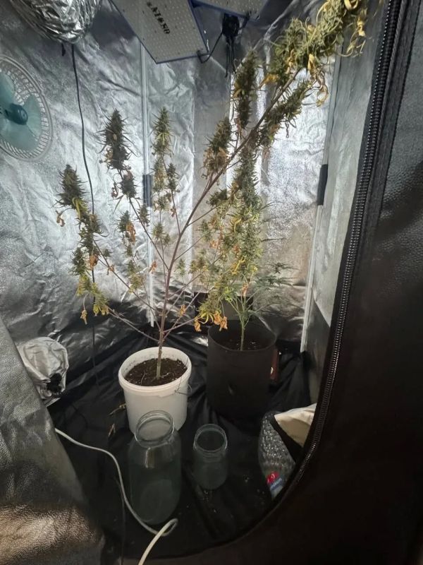 ����������� �������� ��������� �������� ������, ������������� ��������������� ��������