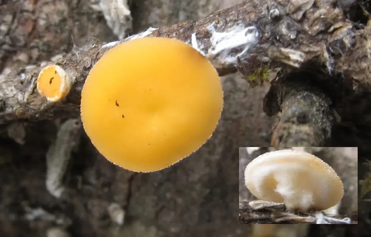 Природа продолжает радовать