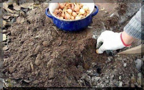 ����� �������� ������ ������� ����: 8 �������� ������