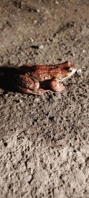 ���� �� �������: � ����������� ������� �������� �������� �����������