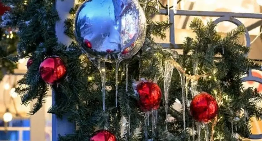 Как сохранить свежесть новогодних салатов: советы экспертов