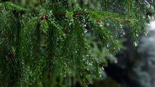 Погода приготовила жителям Челябинской области неприятный сюрприз