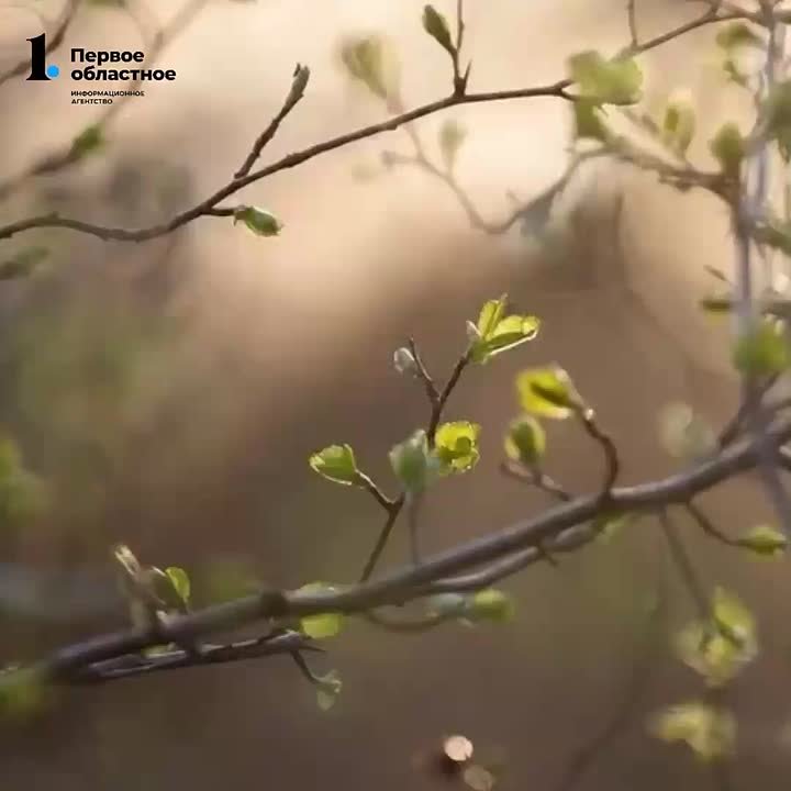 Солнечный день в Челябинске