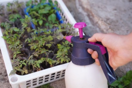 Дай совет и получи приз: «Комсомолка» запустила конкурс для садоводов «Дачный сезон: весенний старт»