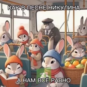 В Челябинске за 2 недели контролеры поймали 211 безбилетников