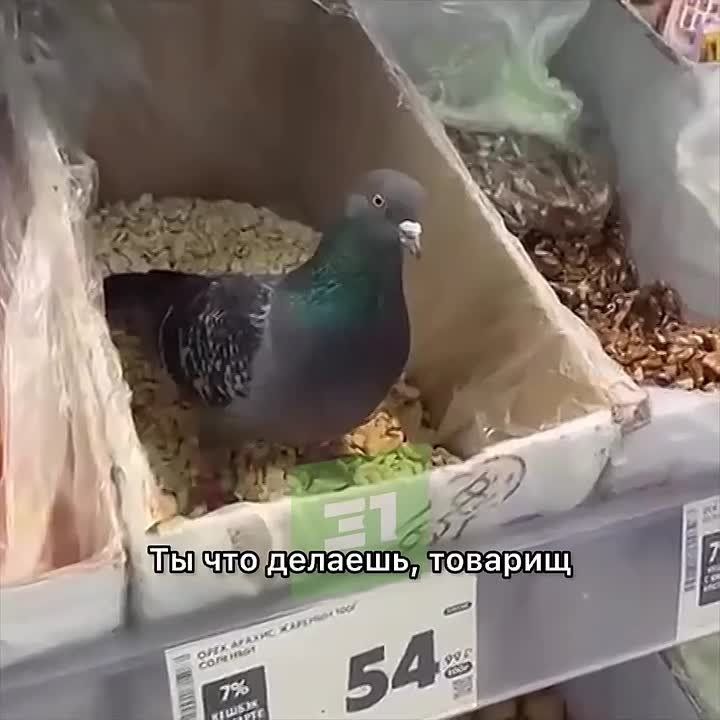 ������ ����? � ���� �����?�