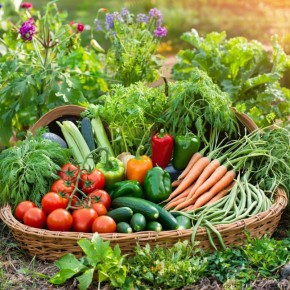 ��� ����������� ������ � ����: ������� ������� ��������� ��� ������� ������