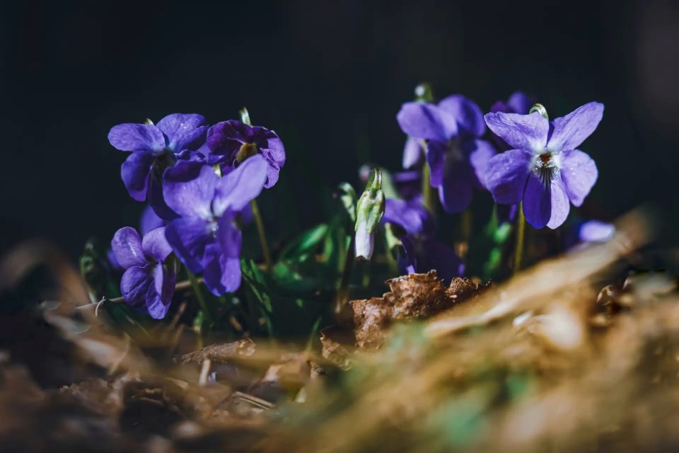 � ������ �����, �������!. ����� ���� �������� ����� ������ �� ����������, ��� ��� ����������� �������� ������ �� ����� ���������