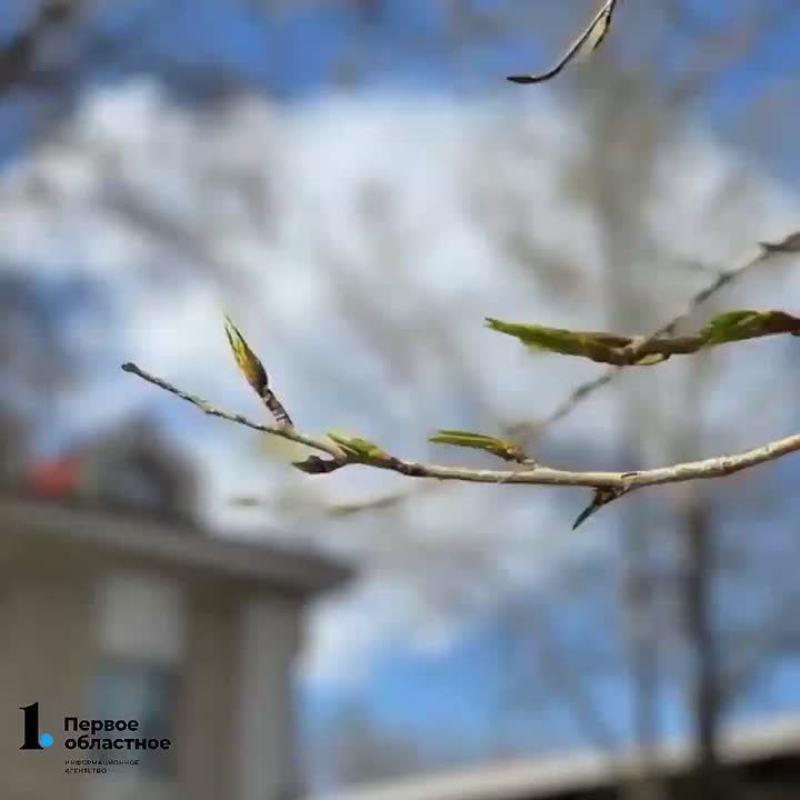 � ������� ����� �����. ����� � ���������� +6��