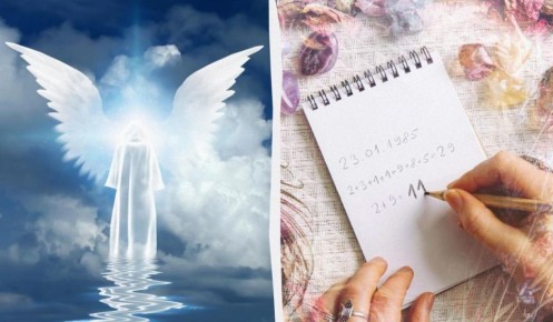 ���� ���������� �����: ��� ��������, ��� ������ ��� ���������