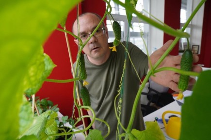 ��� ����� � ������ ����: ����������� ��������� ������� ��� ��������� ������� �����: �������� �����