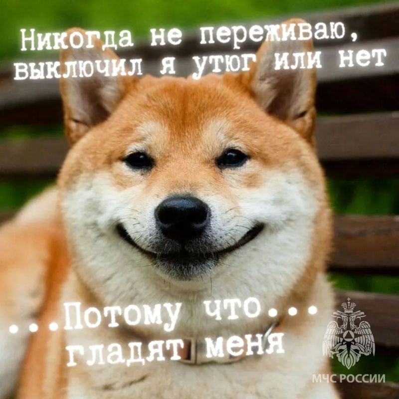 ������ ������ �� ������� ������