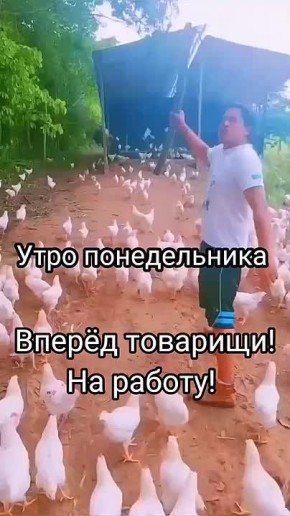 #������������31. ��� ��� ������ �� ������������� � ���� ������ ����� ������ ���� �������� ������ ������� ������