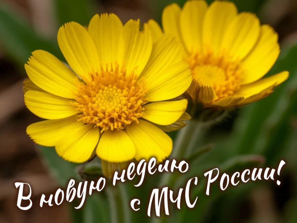 #����������������������. ����� ����������� ����� ������