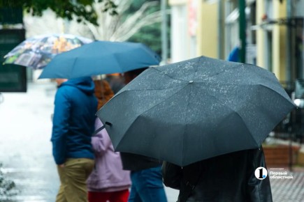 ����� ������ ���� ������������ �� ����������� ������