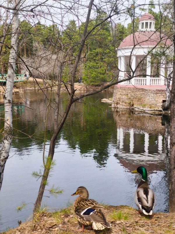 C ������ ���������� �����, �������!