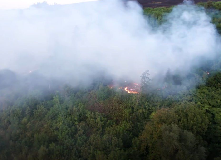 ��� ������������� ��������� �������� �������� � ����� � ����� ����������� �������? ���������