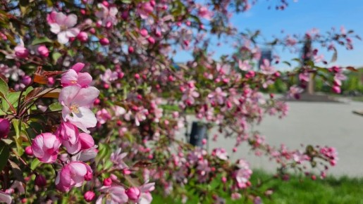 ����� ��������-��������������� �������� ��������� � ����������� �������