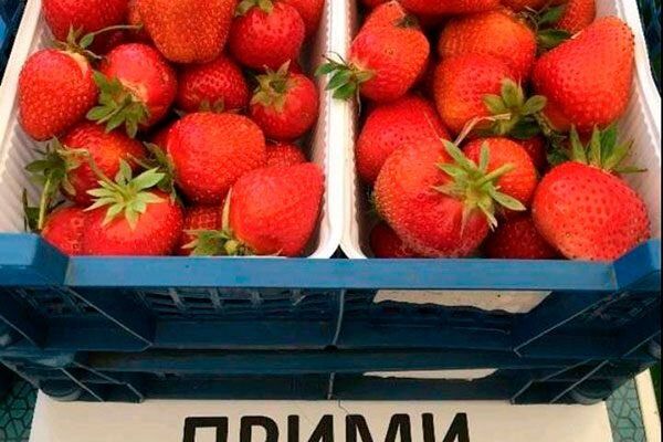 �������� �����: ��� ��������� �������� �� ����� �������