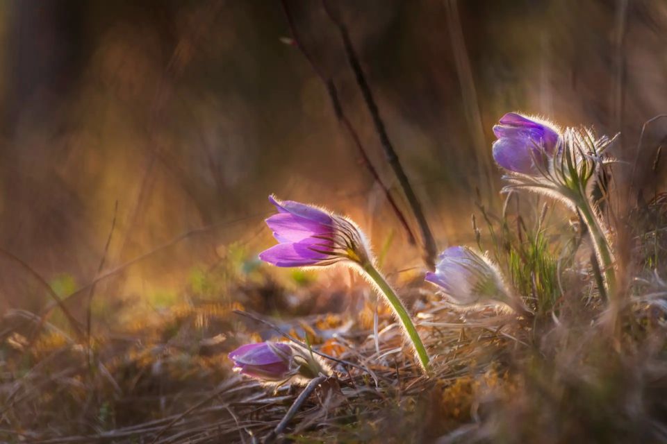 �������� ��������� � ����������