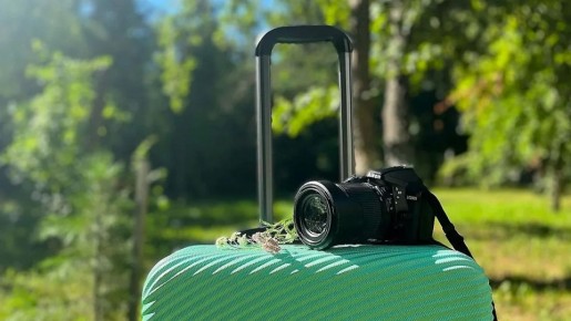 ����� ��������, ������� ������� ���������� ������� ������� ��������� ���������