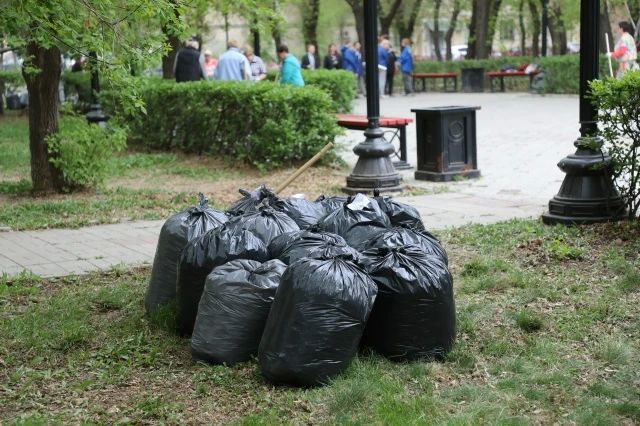 ���������� � ������� �� ������������� ���������� ���� ������������� �������, ���������������� � ����������� ������� � ������� � ��������� �����