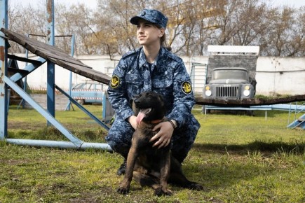 ���� ������ �������, ������ �����: �������� �� ��������������� ������� ������, ��� ��������� ������ �������� �� �������, � �� ������ ������ �� �����