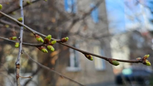 � �������������� ����������, ����� � ��������� �������� �����