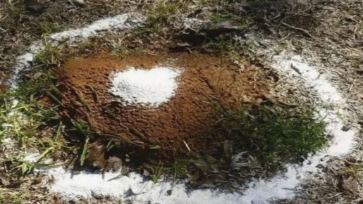 ���� � ������ � ����� �������: �������� �� ����� ������� �� ���������?