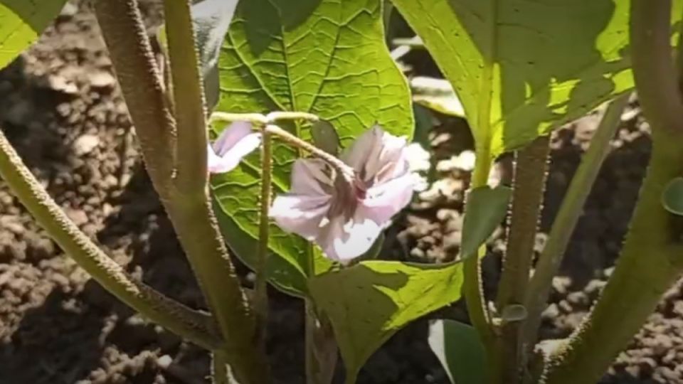 ��� ��������� ����� ���������� � ���������� ������� ������ �� ��������� �������