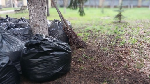 ������������� ��������� ������� � ����������� �������