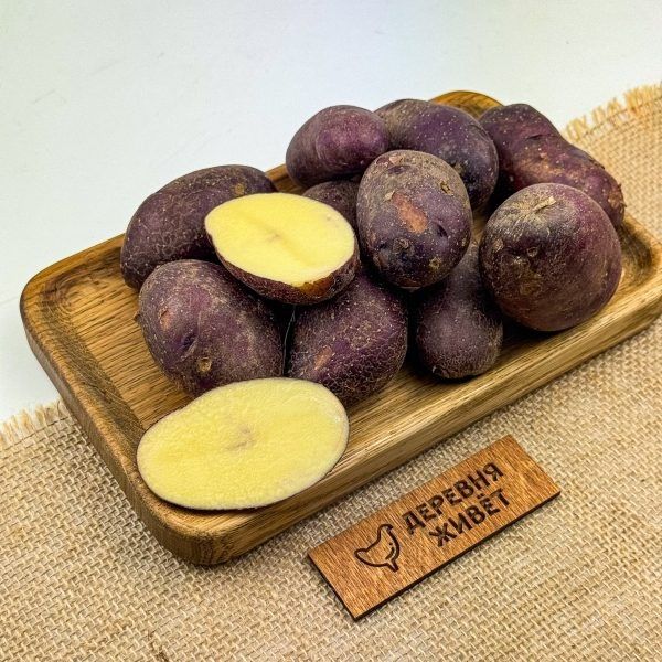 ��������� �������: ������������ ���� � ����� ���� � ����� �������