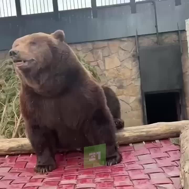 �� ����� ������ ���������� ���������