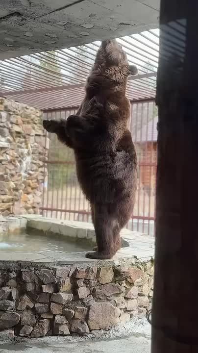 �� ���������� ������� �������� � ����������� ����� ������ ����� ��� ����������� �������� � ������ ������� �������