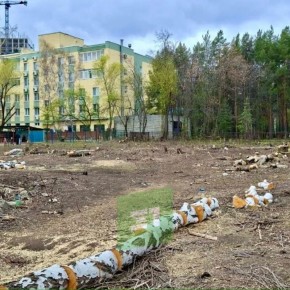 � ������ ������������ � ����������� �������� �������