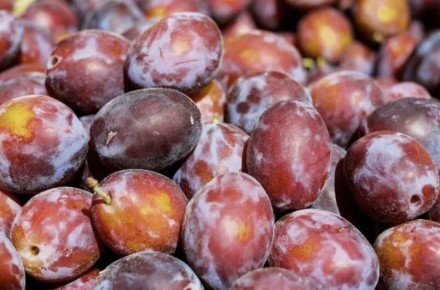 ��� �������� �������� ����: ������� ������, ������� ��������