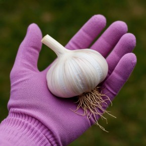 ���� � ���� � �������� ������ �������: ������� �������� ���������