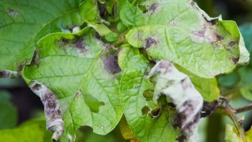 ��� ������� �������� ������ �������� �� ���������