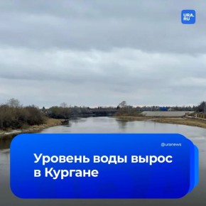 ������� ������ � ������� ����� �� ������� 5,5 �����