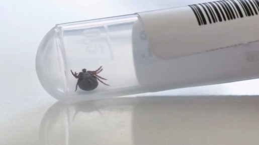 �������� �� ����� � ����������� �������: ��� ������� � ��� ����� �����