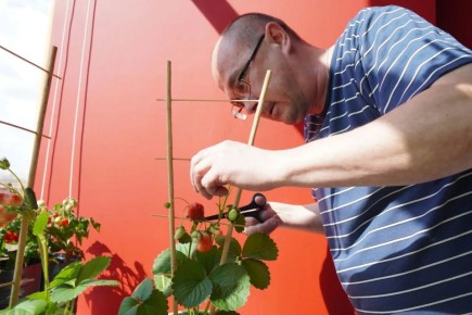 ��� ����� � ������ ����: ����������� ��������� ������� ��� ��������� ������� �����: �������� �����