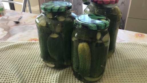 ������ ��������� ���������������: ��� ����������� ��������� ������������ ������ �� ����