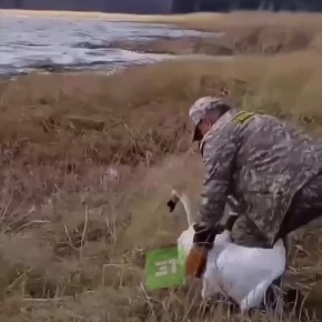 ������ ������� ��� ����� ���