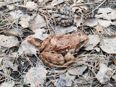 ���� ���������� ������ �� ������� �������� �� ��������� ������ �����