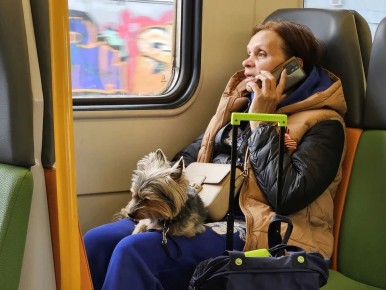 �� ���� �� �������: ������������� ���������� ����� ��������� �� �������� � ��� ���� �������